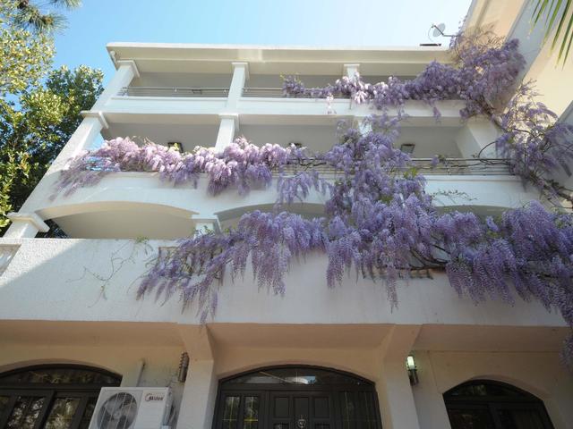 Villa Obala (ex. Obala Lux)