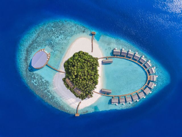 фотографии отеля Kudadoo Maldives Private Island изображение №31