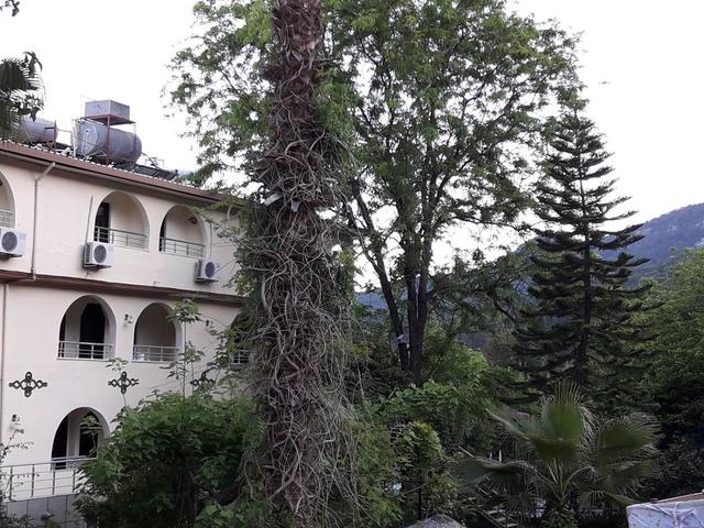 фото Kromer Garden изображение №18