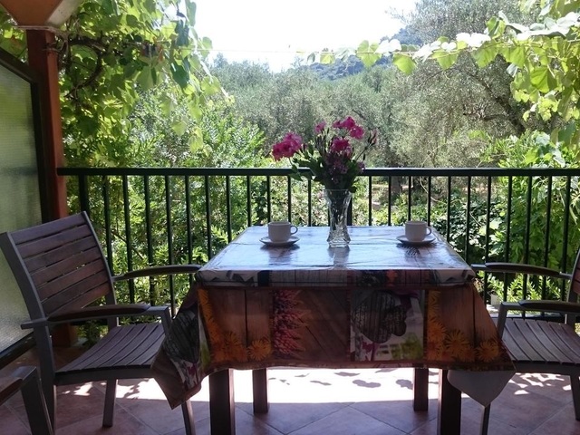 фото Dakis Studios изображение №14