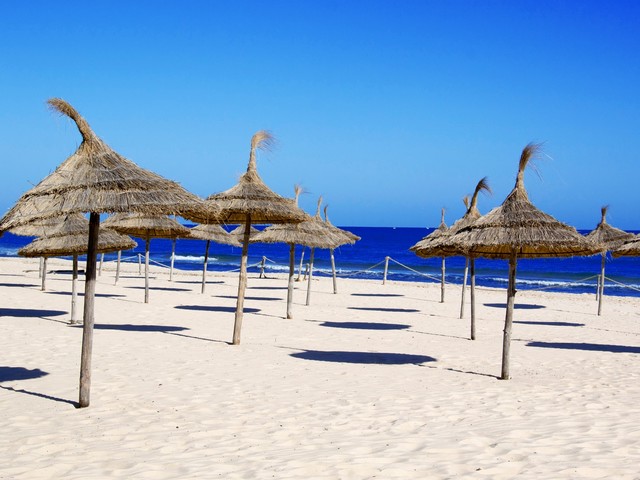 фотографии отеля Fortuna изображение №7