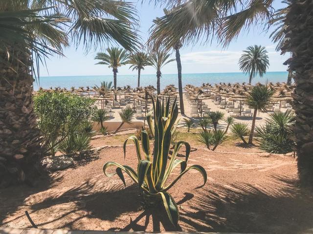 фото отеля Royal Karthago Resort & Thalasso (ex. Winzrik Resort & Thalasso Djerba; Laico Djerba) изображение №5