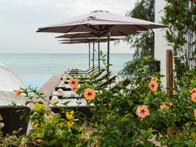 фото Nungwi Dreams By Mantis (ex. Nungwi Dreams Boutique) изображение №18