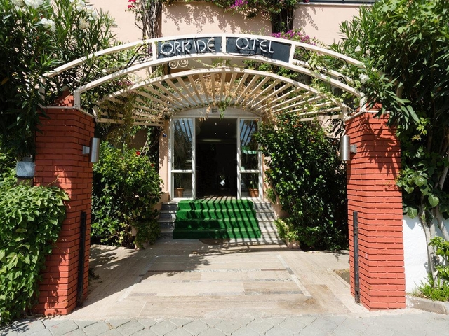 фотографии Orkide изображение №4