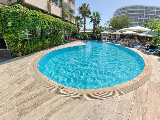 фото Orkide изображение №2