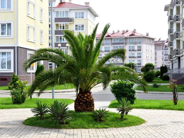 фотографии Город-Отель Бархатные Сезоны, Семейный Квартал (Русский Дом 14 квартал) изображение №76