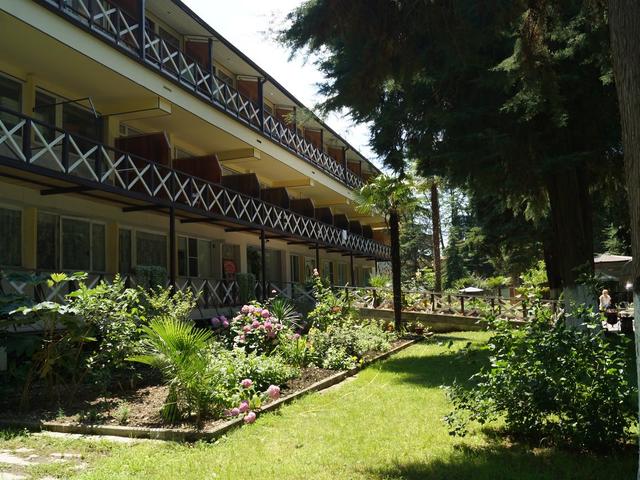 фото отеля Пицунда (Picunda) изображение №117