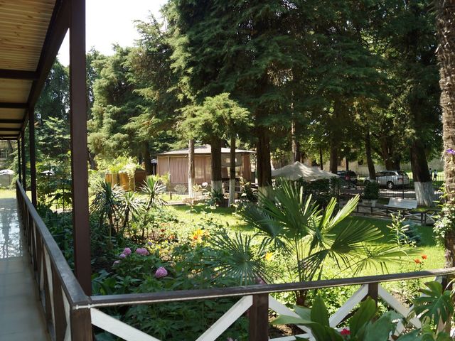 фотографии Пицунда (Picunda) изображение №84