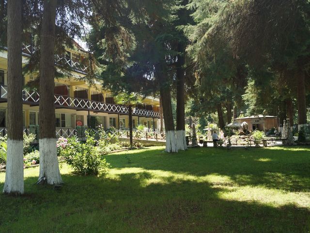 фото Пицунда (Picunda) изображение №82