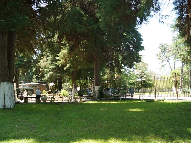 фотографии Пицунда (Picunda) изображение №80