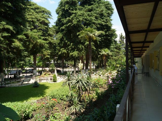 фотографии Пицунда (Picunda) изображение №68