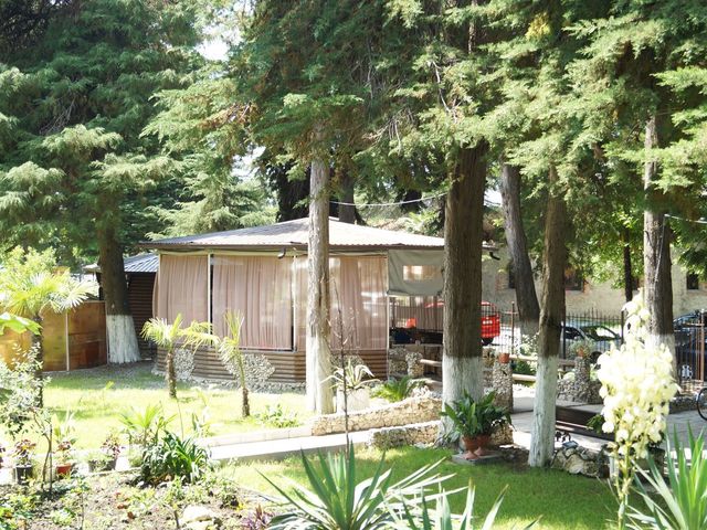 фото отеля Пицунда (Picunda) изображение №65