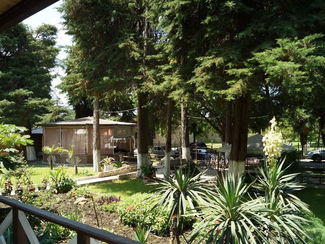 фото Пицунда (Picunda) изображение №62