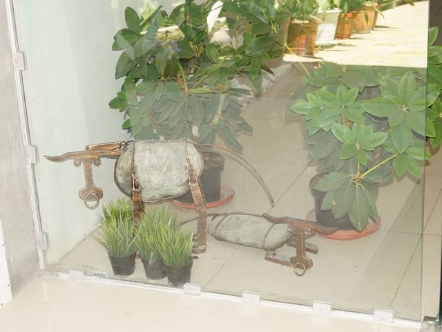 фотографии Пицунда (Picunda) изображение №60