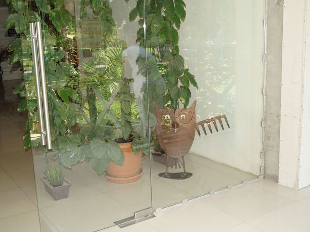 фото Пицунда (Picunda) изображение №58