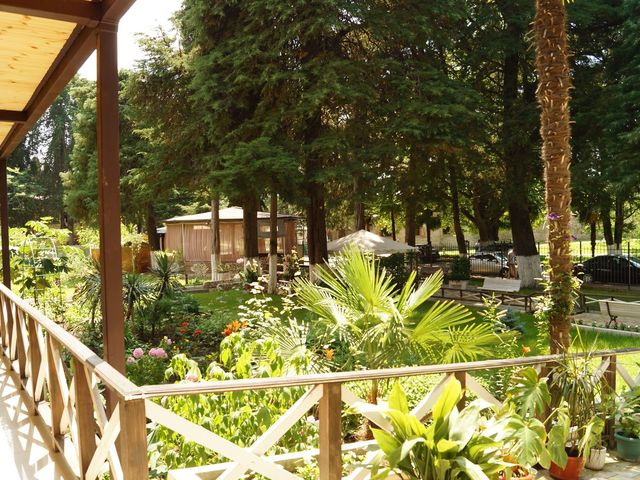 фото Пицунда (Picunda) изображение №50