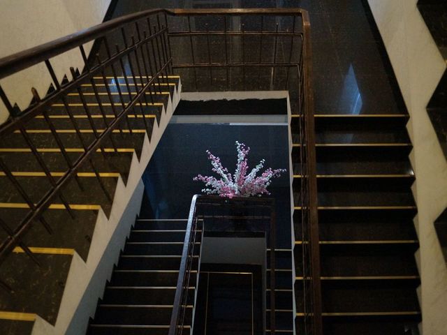 фотографии Пицунда (Picunda) изображение №32