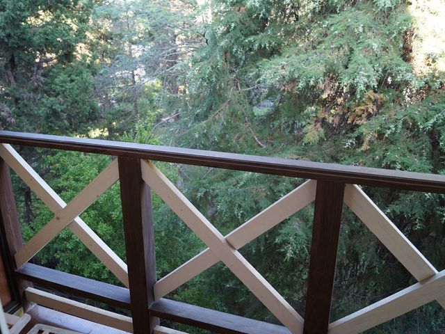 фото отеля Пицунда (Picunda) изображение №17