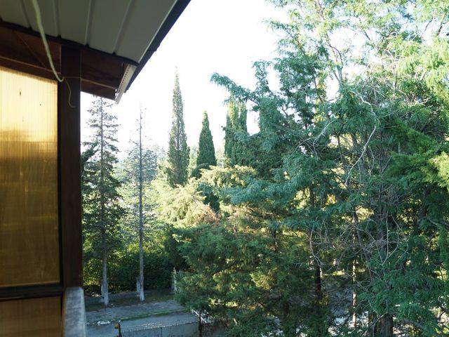 фото отеля Пицунда (Picunda) изображение №9