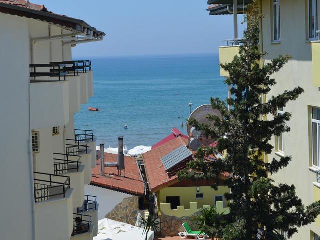 фото Delphin изображение №26