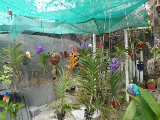 фото отеля Diver's Lodge изображение №13