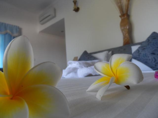 фотографии Diver's Lodge изображение №12