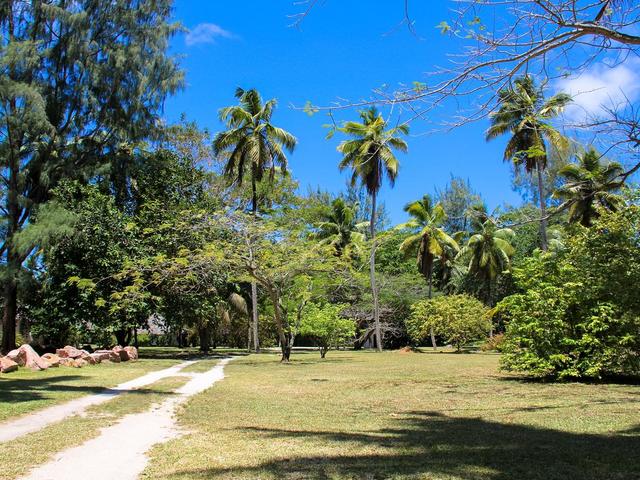 фотографии отеля Cote D'Or Lodge изображение №23