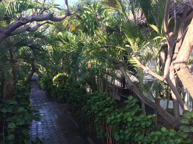 фото отеля Scuba Tribe Bali изображение №13