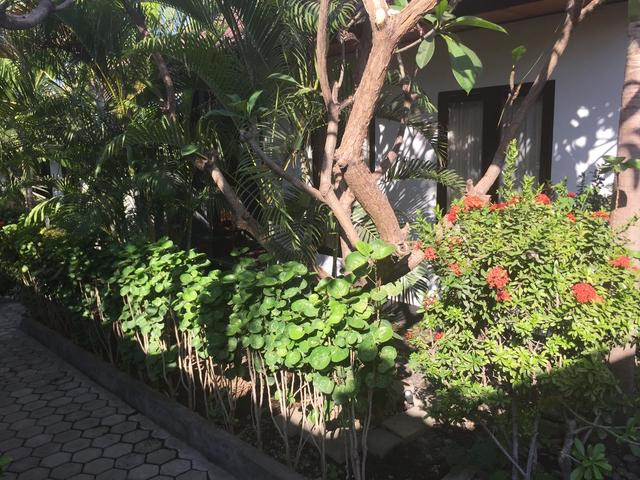 фотографии Scuba Tribe Bali изображение №8