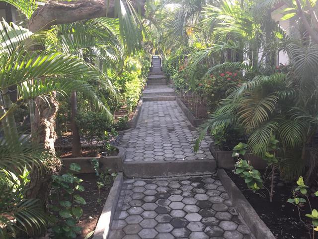 фото Scuba Tribe Bali изображение №6