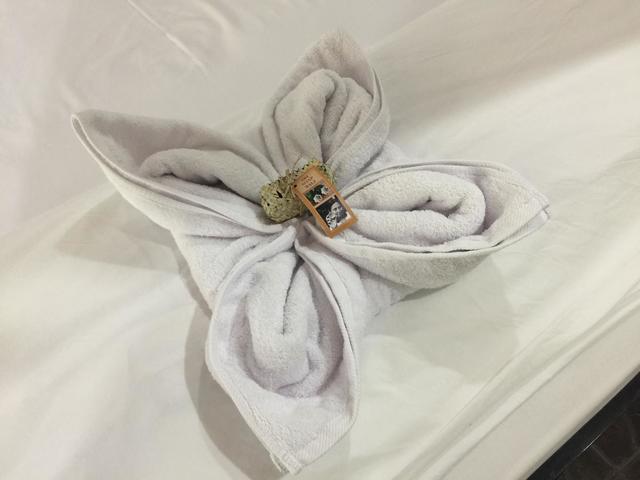 фотографии Scuba Tribe Bali изображение №4