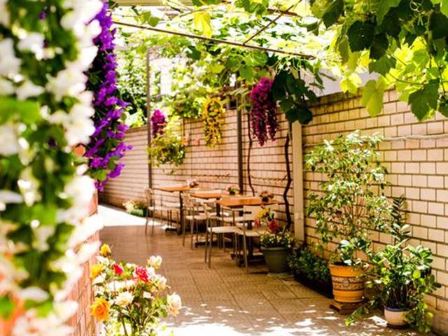 фотографии Континенталь (Continental) изображение №20