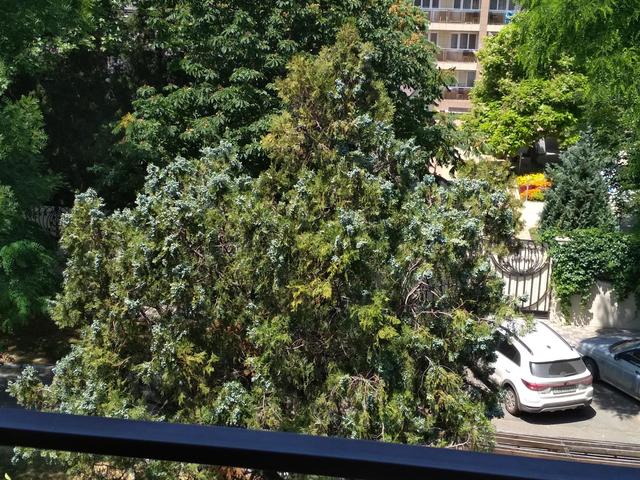 фотографии отеля Континенталь (Continental) изображение №19