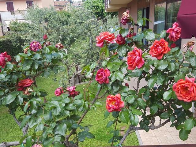 фото отеля Andreis изображение №9