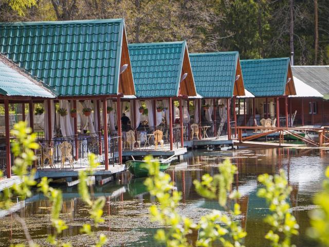 фото Лесная сказка (Lesnaya Skazka) изображение №34