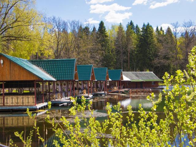 фотографии Лесная сказка (Lesnaya Skazka) изображение №32