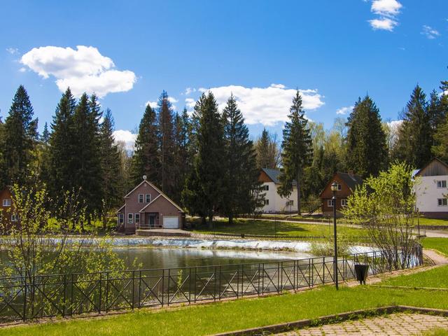 фото Лесная сказка (Lesnaya Skazka) изображение №30