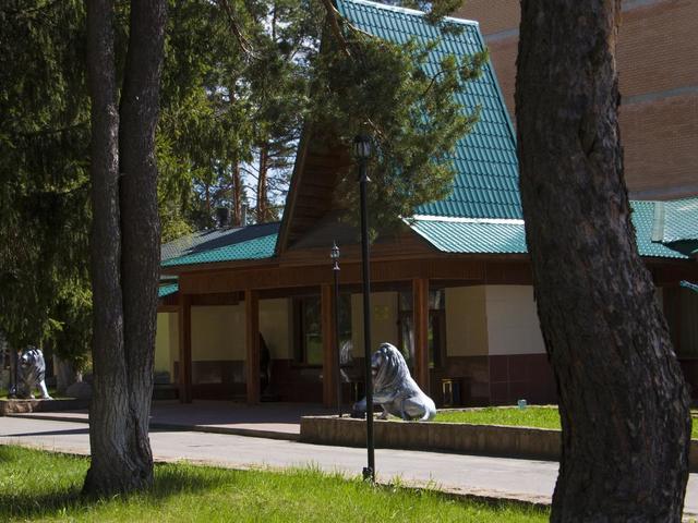 фото отеля Лесная сказка (Lesnaya Skazka) изображение №21