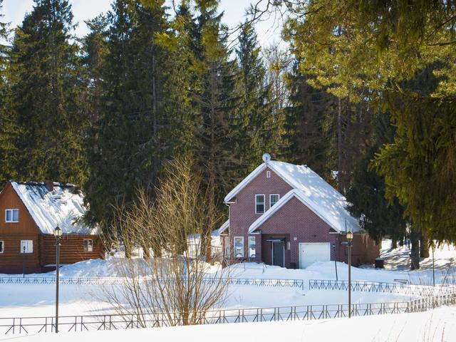 фото Лесная сказка (Lesnaya Skazka) изображение №14