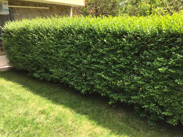 фото отеля Afrodita Guest House (ex. Briz Guest House) изображение №45