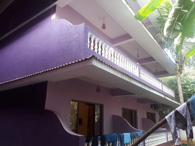 фотографии отеля Orchid Guest House изображение №19