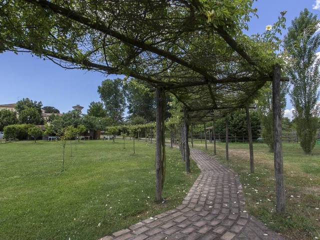 фотографии отеля Foro Appio Mansio изображение №19