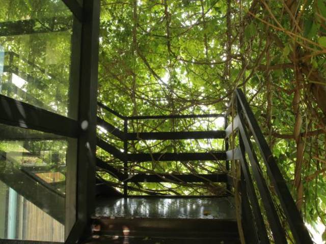 фотографии Foro Appio Mansio изображение №4