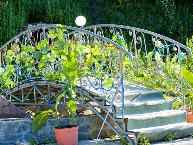 фото отеля Обь (Ob') изображение №9