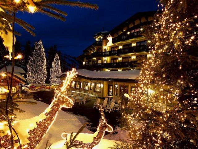 фото отеля Гала Плаза (Gala Plaza) изображение №41