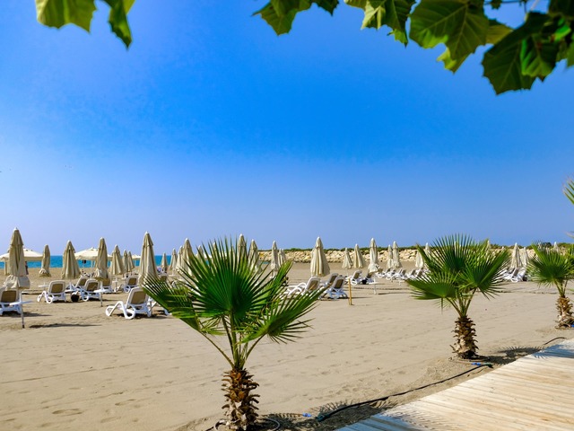 фотографии отеля Trendy Lara изображение №51