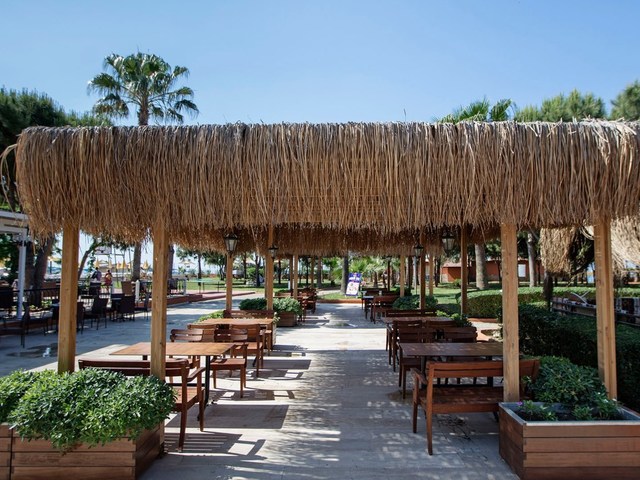фотографии отеля Club Turtas Beach изображение №47