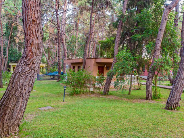 фото отеля Club Pinara (ex. Beach Club Pinara; Club Meda Holiday Village) изображение №17