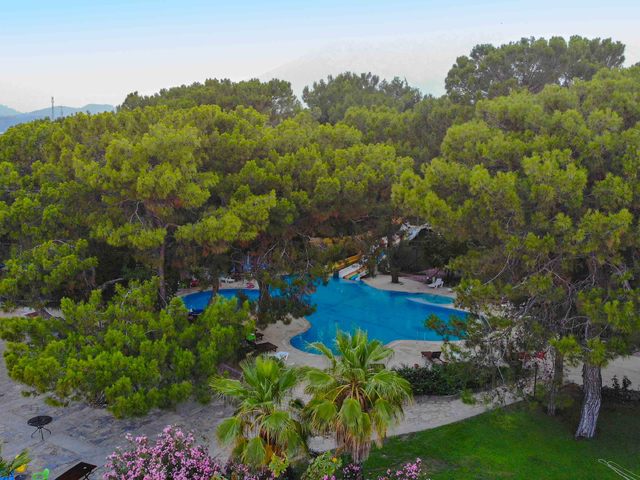 фото отеля Club Pinara (ex. Beach Club Pinara; Club Meda Holiday Village) изображение №9