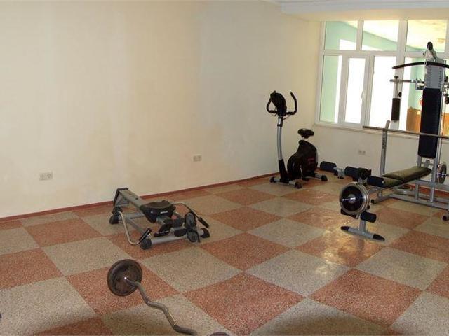 фотографии отеля Stella изображение №15